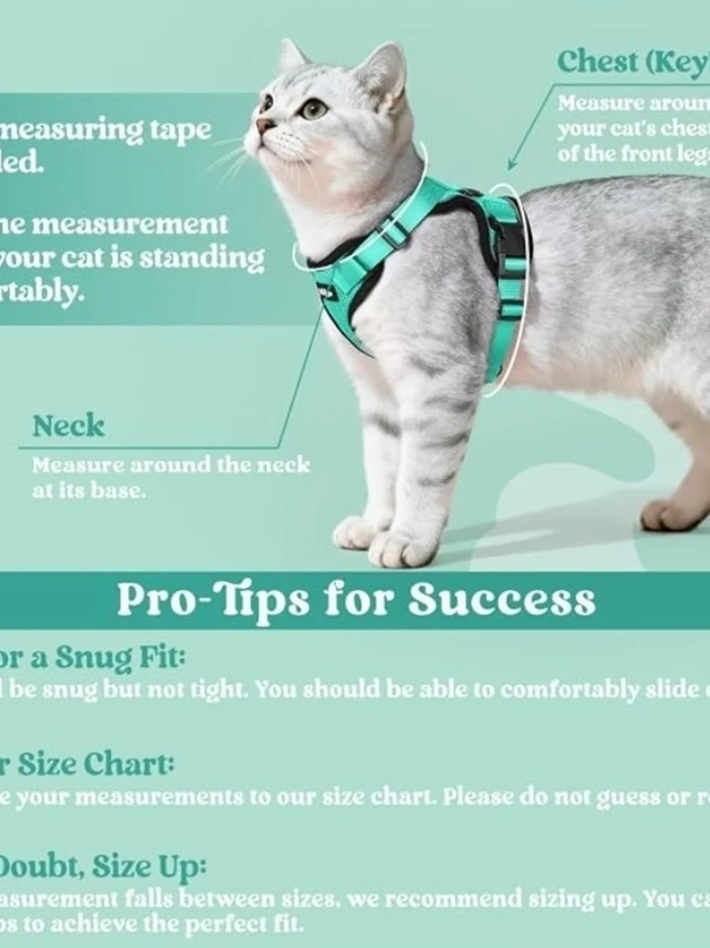Rabbitgoo Teal Mesh No-Pull Cat/Dog Harness (Leash Not Included)